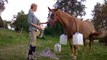 [horsegirlship 31] Holidays with the monkeys 2016 - Part 4 (The daily midday & evening procedure)