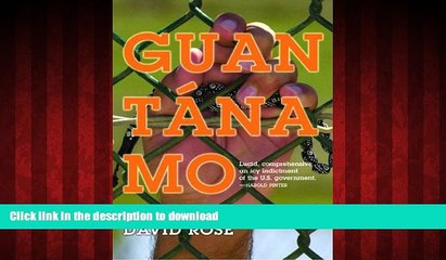 Read books  Guantanamo: The War on Human Rights online