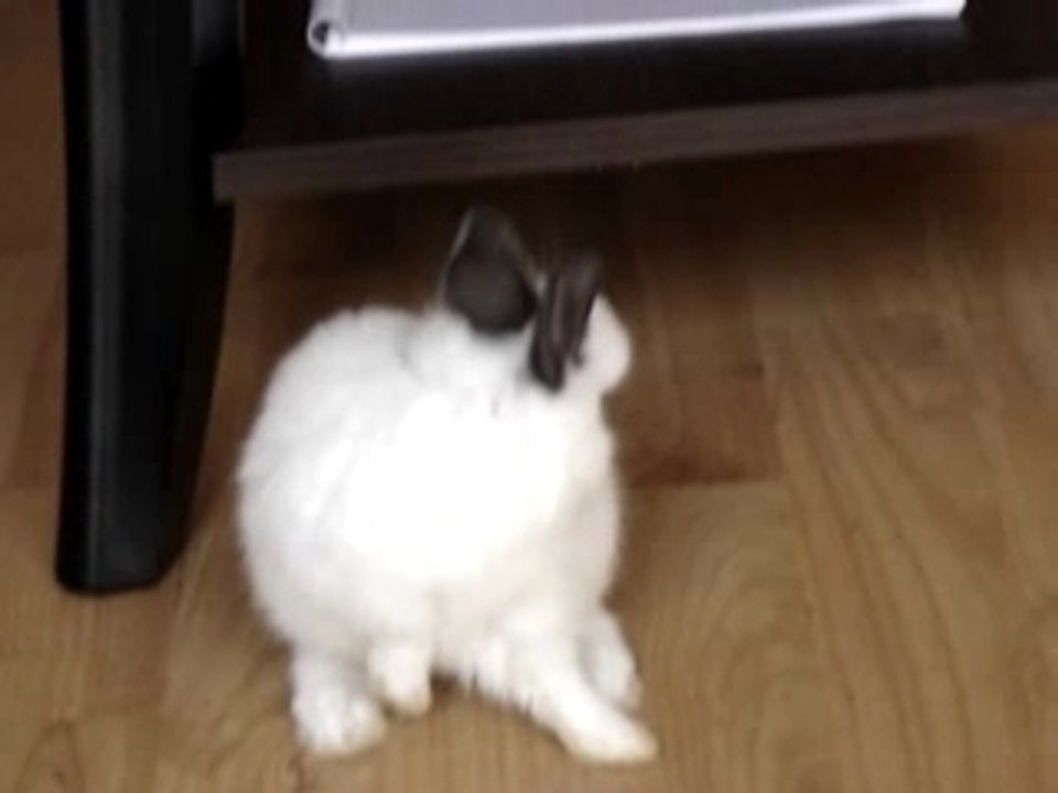 MOV03958