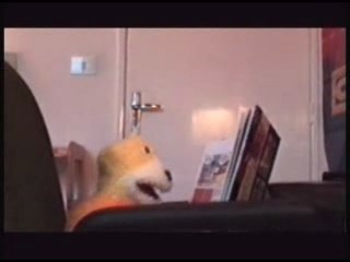 - FLATERIC - DEMAIN SERA TOUJOURS DEMAIN N°5