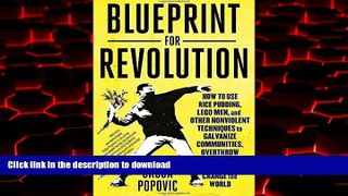 Read books  Blueprint for Revolution: How to Use Rice Pudding, Lego Men, and Other Nonviolent