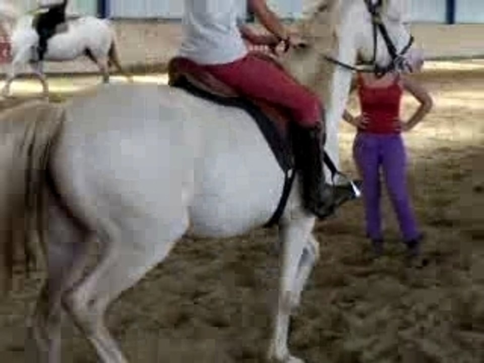 Qatautrot