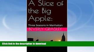 READ BOOK  A Slice of the Big Apple: Three Seasons in Manhattan  GET PDF