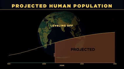 Evolution de la population humaine depuis 200000 ans !