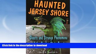 READ  Haunted Jersey Shore: Ghosts and Strange Phenomena of the Garden State Coast (Haunted