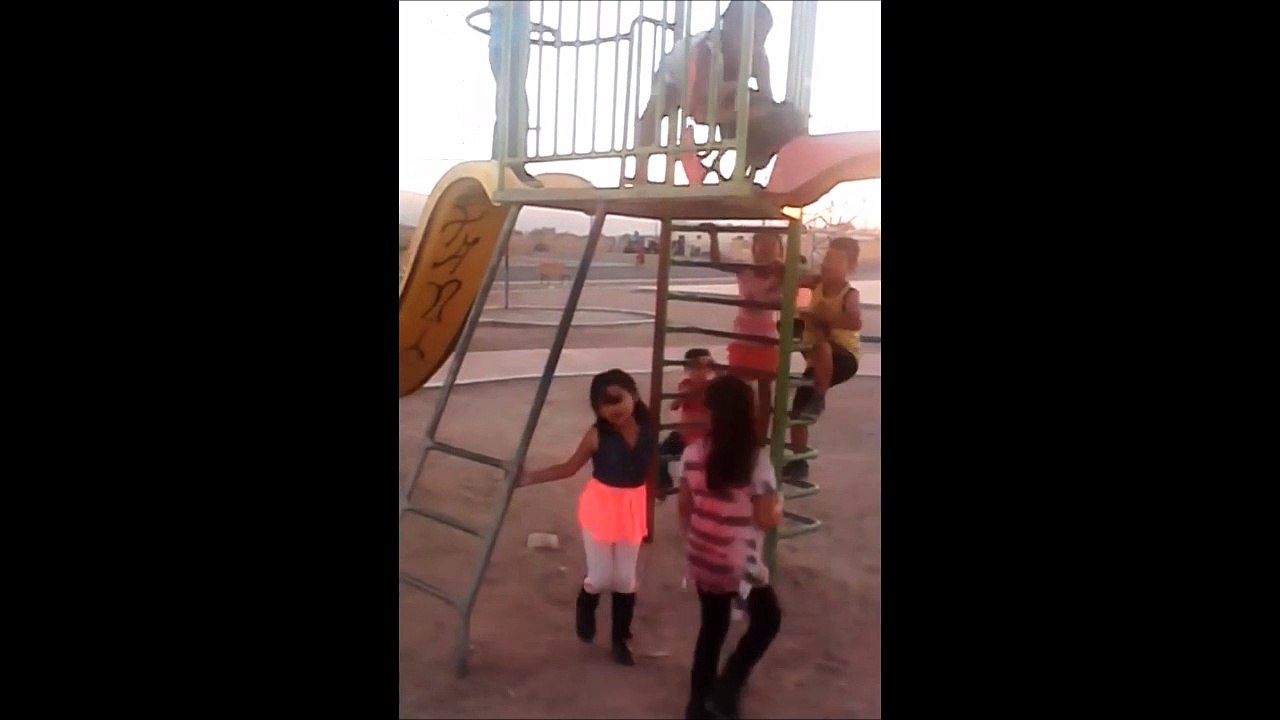 Ce chien grimpe à l’échelle pour descendre le toboggan... Un vrai gamin!