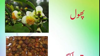 ‫پلنگ توڑ سیکس کریں _ عضو خاض لمبا اور موٹا _Plang Toor jima krany --Nafs Lamba or Mota krny‬ -