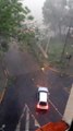 Tempete incroyable au brésil : tout les arbres arrachés par des vents de 150km/h