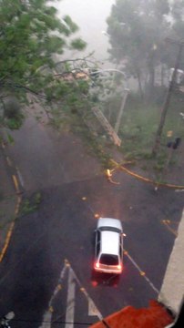 Tempete incroyable au brésil : tout les arbres arrachés par des vents de 150km/h