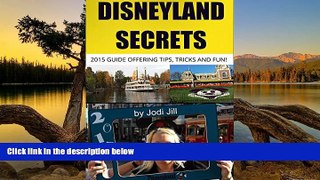 Big Deals  Disneyland Secrets: 2015 Guide Offering Tips, Tricks and Fun  Best Buy Ever