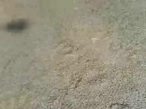 Booster Mhr - allumage Pvl Digital