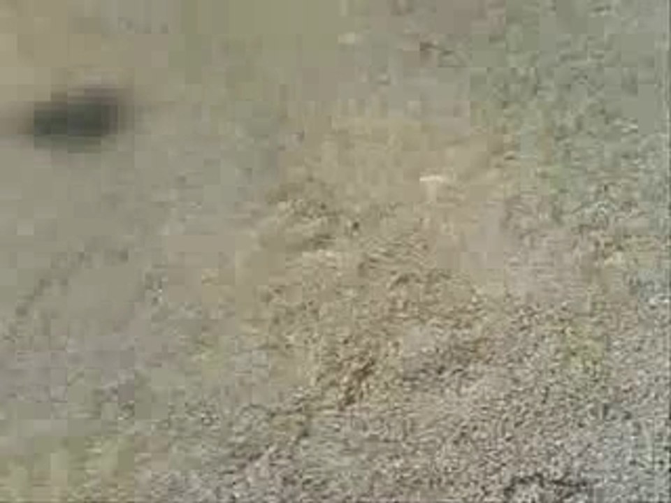 Booster Mhr - allumage Pvl Digital