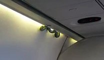 Passengers Got Screaming When They Saw Snake On Plane