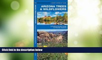 Big Sales  Arizona Trees   Wildflowers: A Folding Pocket Guide to Familiar Species (Pocket