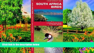 Best Deals Ebook  South Africa Birds (A Pocket Naturalist Guide)  Most Wanted