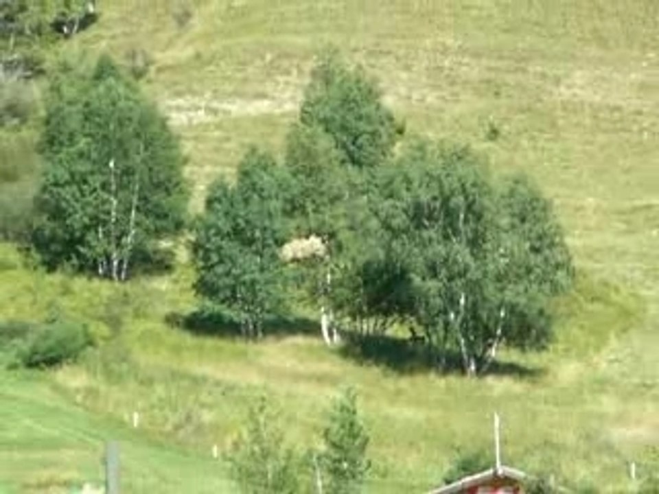 Fêtes des foin au deux Alpes 011