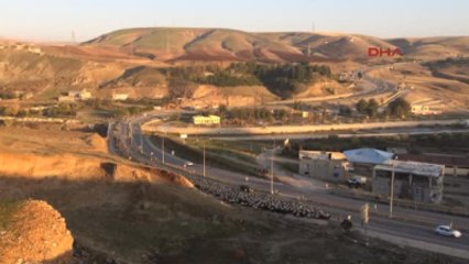 Siirt Karayoluna Inen Koyun Sürüsü Trafiği Aksattı