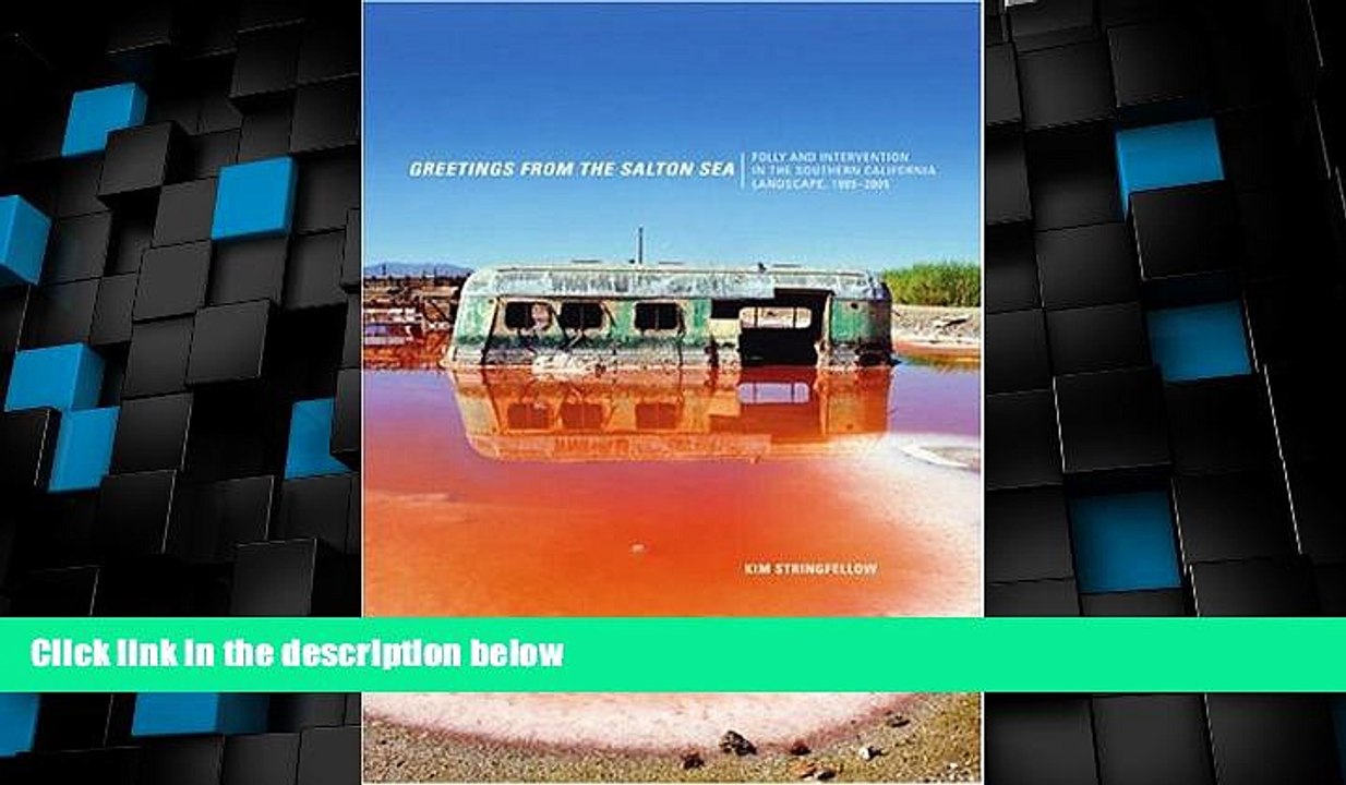Big Sales  Greetings from the Salton Sea: Folly and Intervention in the Southern California