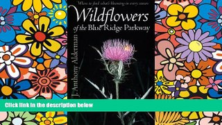 Ebook Best Deals  Wildflowers of the Blue Ridge Parkway  Full Ebook
