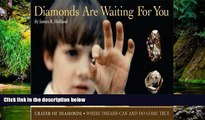 Ebook deals  Diamonds Are Waiting For You: Crater of Diamonds, Where Dreams Can And Do Come True