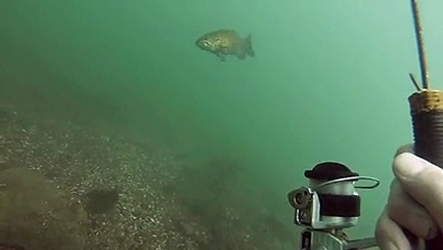 La peche sousmarine avec une canne peche
