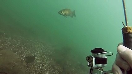 La peche sousmarine avec une canne peche