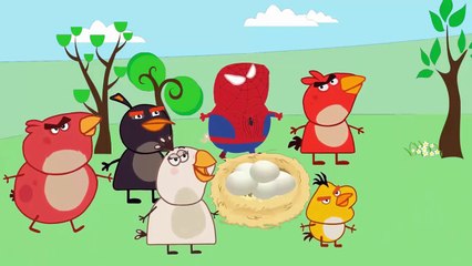 Peppa Pig Sipderman vs Peppa Pig Angry Birds Finger Family Song ~ Superheroes Cartoon for Kids