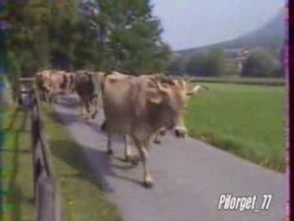 VADUZ-PSG - C2 96-97