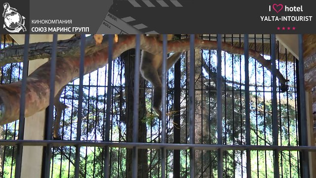 Отдых в Крыму. Что думает гость из Москвы об отеле «Ялта-Интурист»