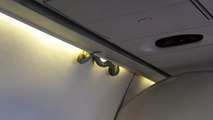 Des passagers découvrent un serpent dans l’avion en plein vol (Mexique)