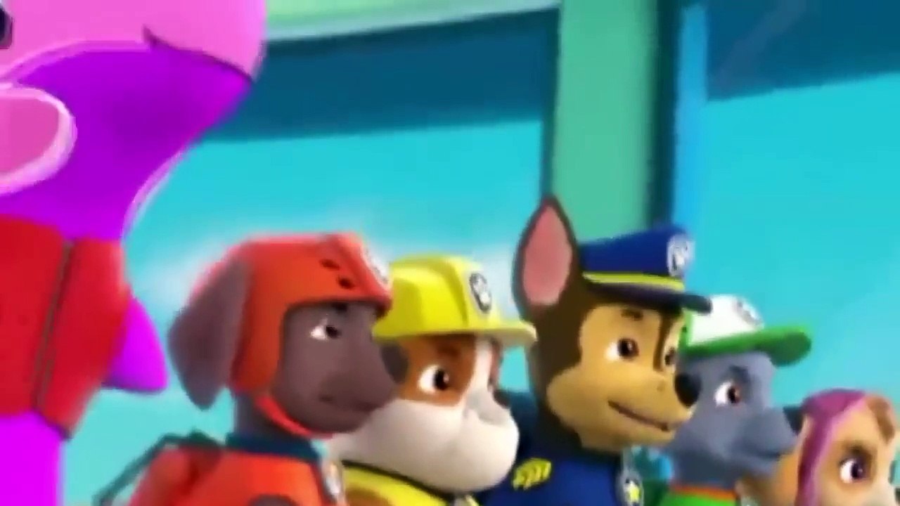 ᴴᴰ Best Animation Movies For Kids 2016 ♡♡ Pups Save the Penguins Pups Save a Dolphin Pup