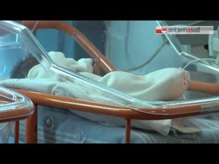 TGSRVnov08 gemelli disabili risarcimento regione