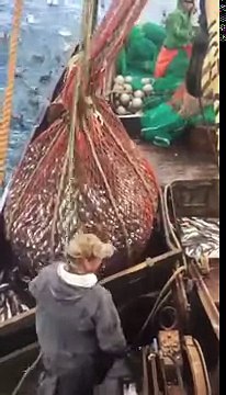 Des pêcheurs font une découverte improbable dans un filet de pêche