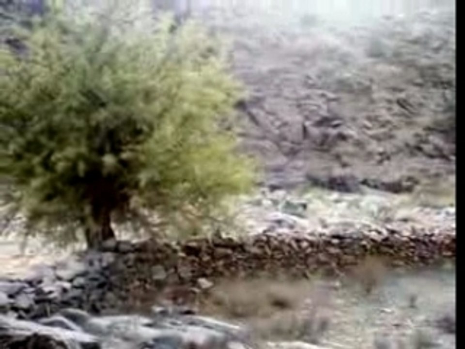 Asif