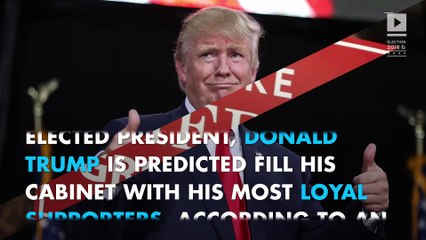 An early look at Donald Trump's predicted cabinet