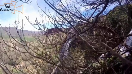 ولاية سعيدة wilaya de saïda (v2)