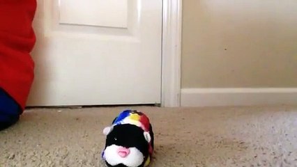 Zhu Zhu Pets Review On Uno