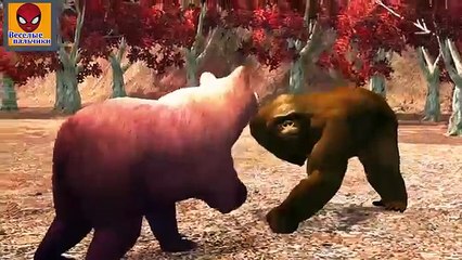 Семья пальчиков 3D ГОРИЛЛА против МЕДВЕДЯ | Bear vs Gorilla Finger Family 3D in Russian
