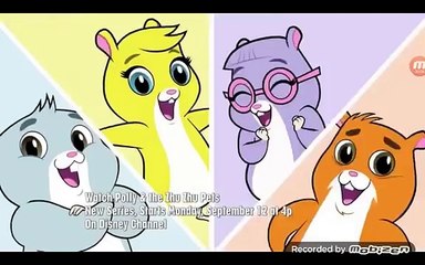 Polly And The Zhu Zhu Pets - YouTube
