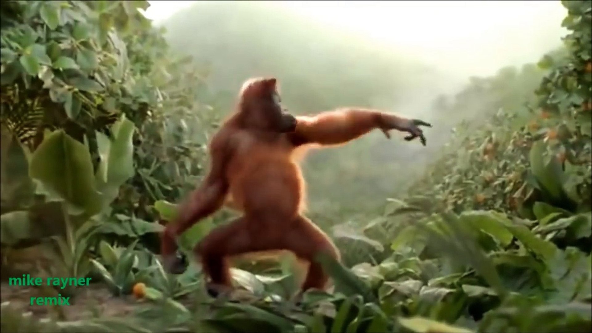 ⁣Funny Ape Song. Cartoon Parody. Dance Music Pop Songs. (Dancing Gorilla) Kids Cartoons movies 25