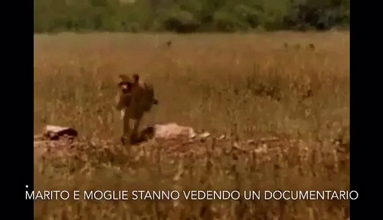 Cosa non farebbe un uomo
