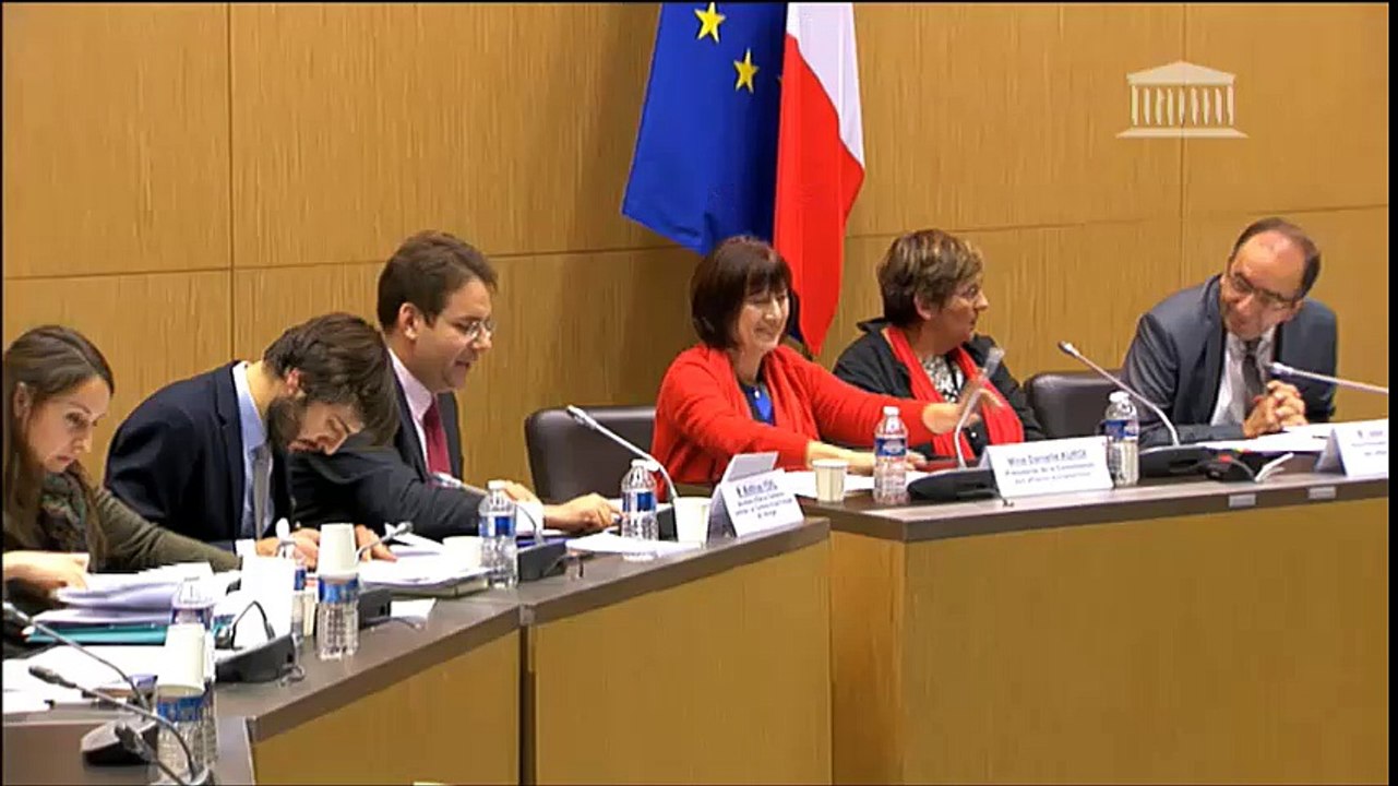 Seybah Dagoma - question à Matthias Fekl sur les négociations commerciales européennes - mardi 8 novembre 2016 - 2