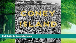 Best Buy Deals  Coney Island: Visions of an American Dreamland, 1861â€“2008  Best Seller Books