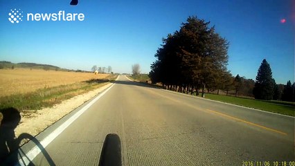 Cyclist chased by adorable dog