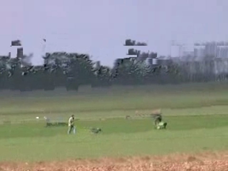 Vidéo papel printemps