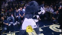 La mascotte des Grizzlies se lâche sur du Genuwine