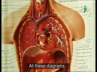 islamic lectures with english subtitles Proofs of faith The creation of man