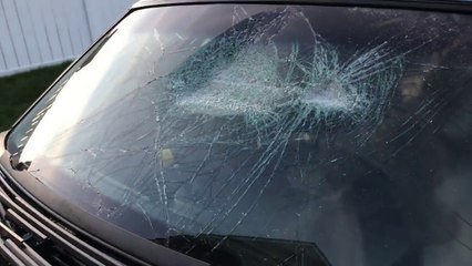 Il fracasse le pare brise de son père à la batte de baseball