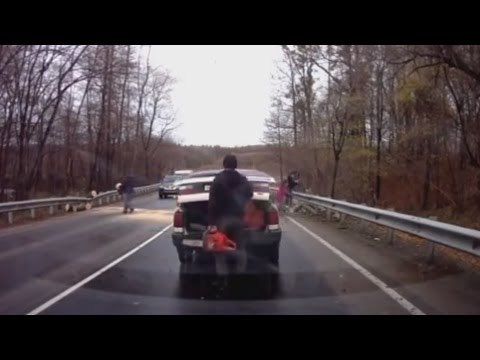 Quand un arbre bloque une route en russie