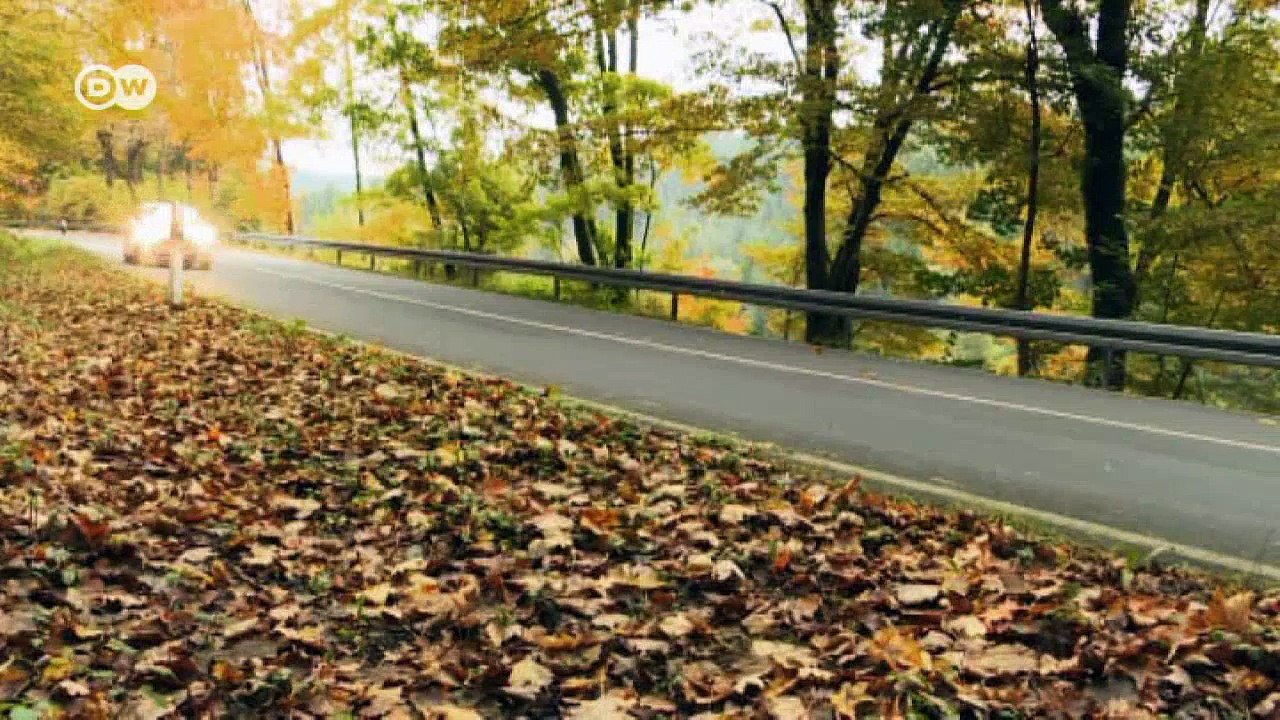 Rasant: Ford Fiesta ST200 | Motor mobil